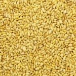 450 g pijnboompitten voor €9,99 in de De Notenshop