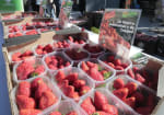 Fresas gratis este miércoles en Valladolid