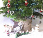 Gratis kerstcadeautje door enkel je gegevens achter te laten