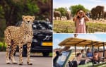Ticket Safaripark Beekse Bergen voor €20,30 bij Tripper