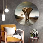 Wandcirkels met collectie afbeeldingen vanaf €11,24