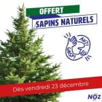 Sapin offert exceptionnellement chez Noz
