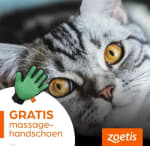 Gratis massagehandschoen voor katten