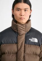 Chaqueta The North Face Limbara marrón por 105,70€