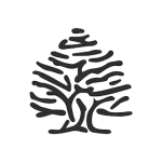 Springfield Descuento 10%