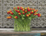 2 grote bossen van 50 tulpen in 2 kleuren voor €24,95