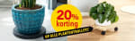 -20 % korting op de plantentrolleys