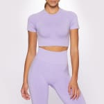 Camiseta corta Crush Alpine - Purple por 24,99€