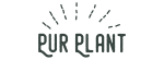 Ofertas flash del dia de hoy de PurPlant