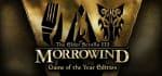 The Elder Scrolls III: Morrowind Game of the Year Edition voor €3,74 via Steam