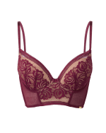 Encore Padded Longline for £16.80.