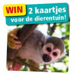 Een leuk dagje dierentuinen bij een gekochte verpakking HobbyLine