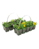 Shop 20 packs of autumn bedding from Aldi as low as £2.99