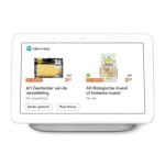 Google Nest Hub - chalk [NL] - smart home assistant (grensdeal NL)