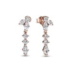 Pendants d’oreilles Herbier Scintillant PANDORA à 95,20€