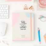 Agenda Anual Semana Vista Mr. Wonderful por 7,58€