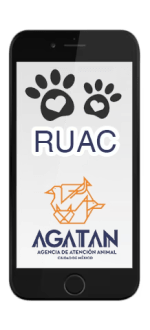 CURP para Mascotas Gratis