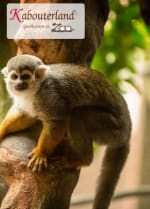 Entreeticket Kabouterland voor €6,95 via Tripper