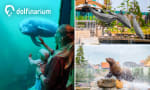 Ticket Dolfinarium voor €15 via Social Deal