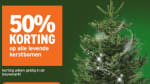 50% korting op alle levende kerstbomen