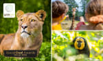 Ticket voor GaiaZOO voor €18,50 via Social Deal