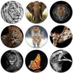 75% korting op wandcirkels met de Canvascompany code