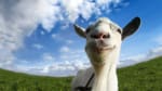 Goat Simulator voor €2,99 in de Playstation Store