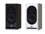Enceinte JEAN MARIE REYNAUD LUCIA à 850,00 € la paire