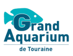 Profitez des billets enfants pour le Grand Aquarium de Touraine à partir de 10€