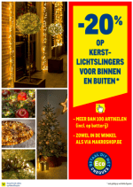 -20% op kerstlichtslingers voor binnen en buiten bij Makro