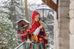 8 euro korting op de Winter Efteling
