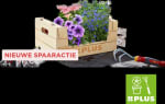 Spaar bij Plus voor lentebloeiers