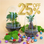 25% Paaskorting op alle ei-vormige plantenterrariums