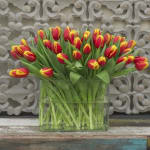 200 tulpen voor €29,95