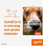 Gratis kalender met weetjes over honden