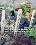 Gratis biologische en lokale planten in ruil voor tegels voor inwoners Den Haag