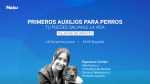 Taller Primeros auxilios para perros GRATIS