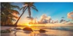 Escapada a Punta Cana 8 días con Todo Incluido desde 865€ por persona