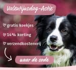 14% korting + gratis koekjes + gratis verzending, alles tegelijk!