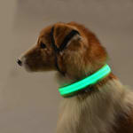 Coleira de Led para Cães e gatos - R$ 4,98