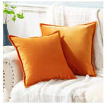 Funda Cojin - Juego de 2 Fundas Cojines Decorativas de Terciopelo, Muy Suave, Funda de Almohada Cuadrada para Sofá, Dormitorio y Sala de Estar, con Cremallera