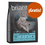 Compra mínima de 15€ tienes gratis un 1 kg pienso para perros