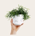 kortingscode bij Sculpd op DIY clay kit!