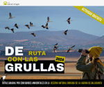 Recorrido por la Reserva Natural Dirigida para observar uno de los fenómenos naturales más espectaculares de Aragón: la migración de las grullas