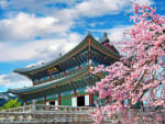 Vuelo CDMX a Seoul desde $15,617 en AeroMéxico (Incluye 2 maletas documentadas)
