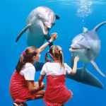 Krijg nu 26% korting op kinderdagkaarten bij Boudewijn Seapark!