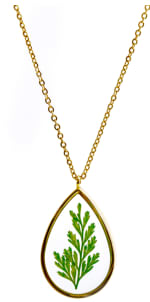 Nu een gratis ketting t.w.v €39,95 bij je bestelling bij Growing Concepts