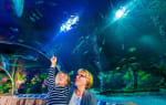 Tickets Sea life blankenberge voor 10,75 euro