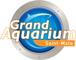 Profitez des billets pour le Grand Aquarium de Saint Malo à partir de 12€
