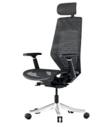 FlexiSpot Ergonomische stoel Maximum Comfort BS11 Pro voor €279,99 dmv code